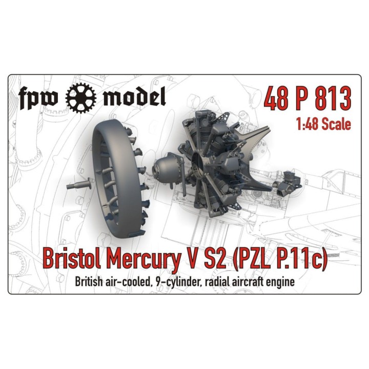 Bristol Mercury V S2 (PZL P.11c)