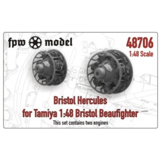 Bristol Hercules (2x) for any Tamiya 1:48 Bristol Beaufighter
