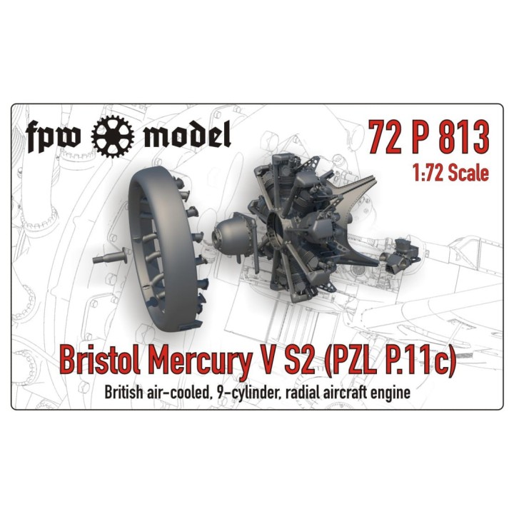 Bristol Mercury V S2 (PZL P.11c)